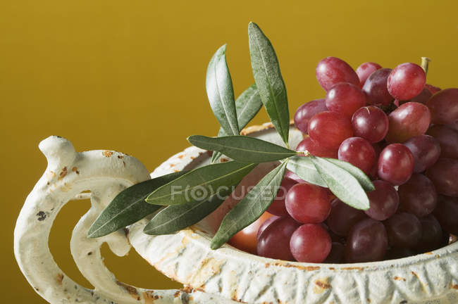 Red grapes with olive branch — Stock Photo