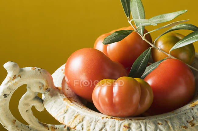 Tomates frescos en un tazón - foto de stock