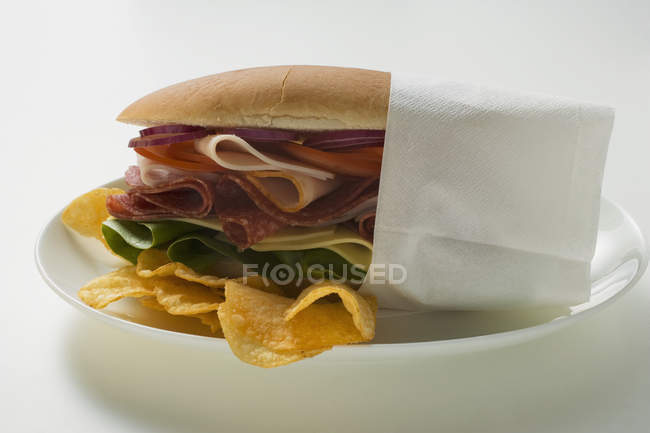 Sándwich con patatas fritas en plato - foto de stock