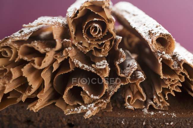 Boucles de chocolat sur gâteau au chocolat — Photo de stock