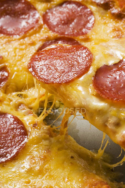 Pizza de salami y queso - foto de stock