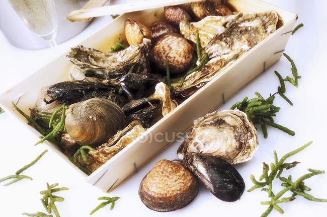 Приготовленное блюдо из моллюсков — стоковое фото