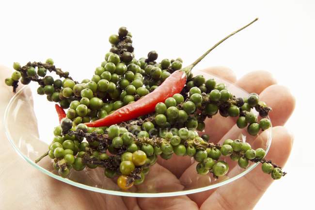 Hand holding plate with peppercorns — Stock Photo