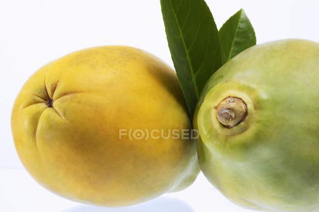 Fresh quinces with leaves — Stock Photo