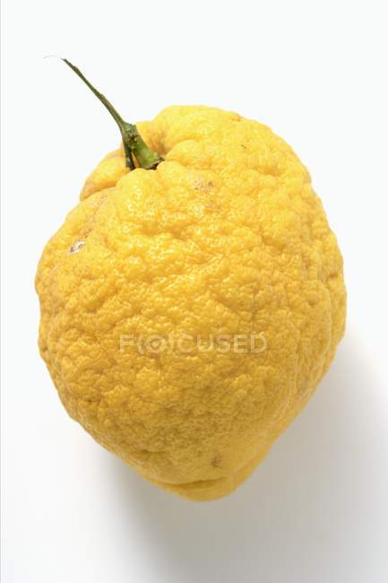 Fresh Ripe citron — Stock Photo