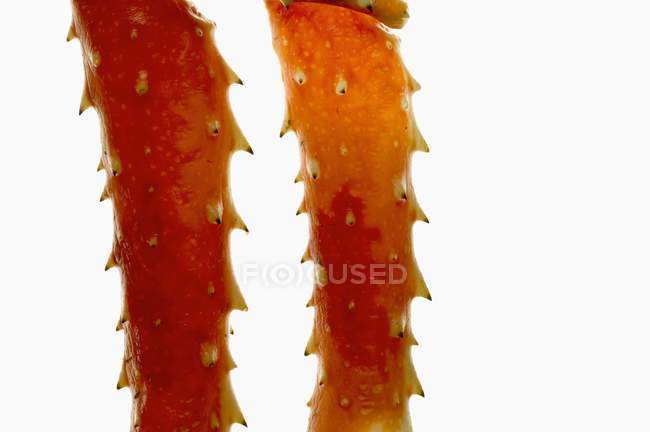 Vista de cerca de dos patas de cangrejo rey rojo sobre fondo blanco - foto de stock