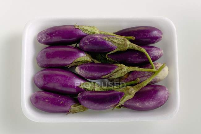 Baby aubergines in white dish — Stock Photo
