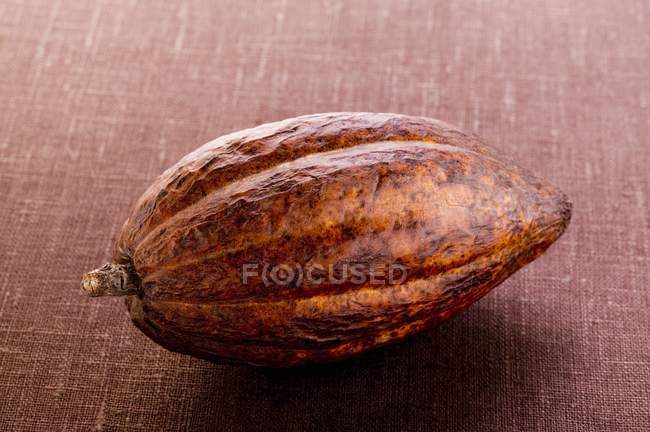 Vaina de cacao crudo - foto de stock