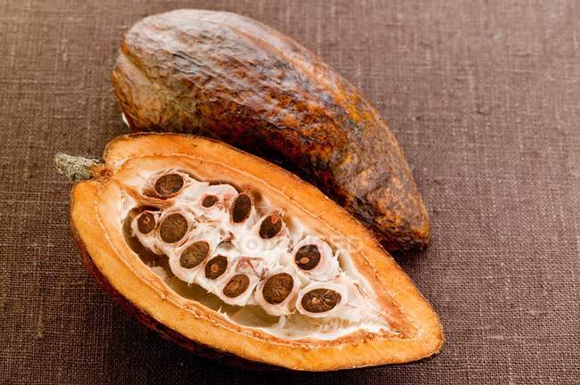 Gousse de cacao cru en coupe — Photo de stock