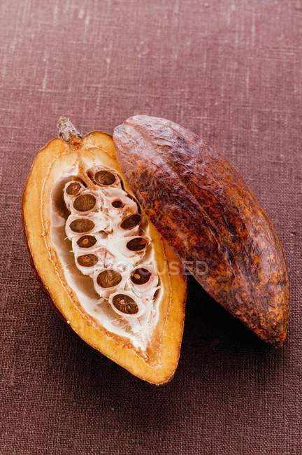 Vaina de cacao crudo en corte - foto de stock