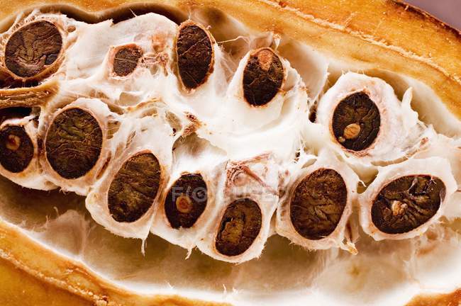 Raw cacao pod in cut — Stock Photo