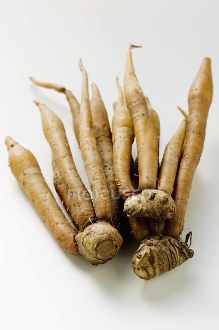 Closeup view of Krachai roots on white surface — Stock Photo