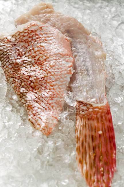 Filete de pez escorpión - foto de stock