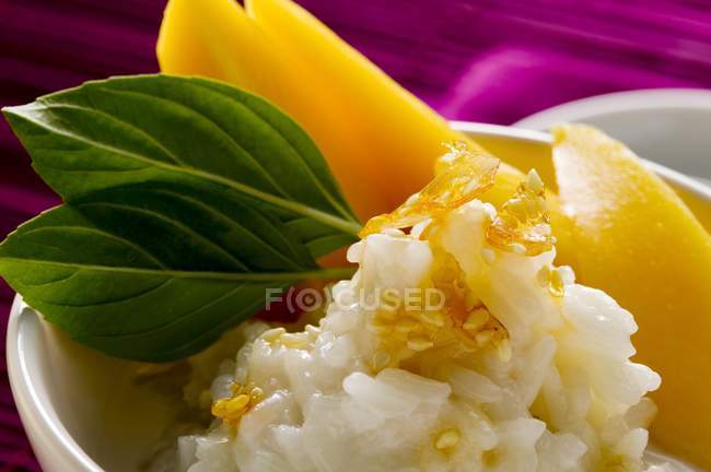 Klebriger Reis mit Mango und Kokosmilch — Stockfoto