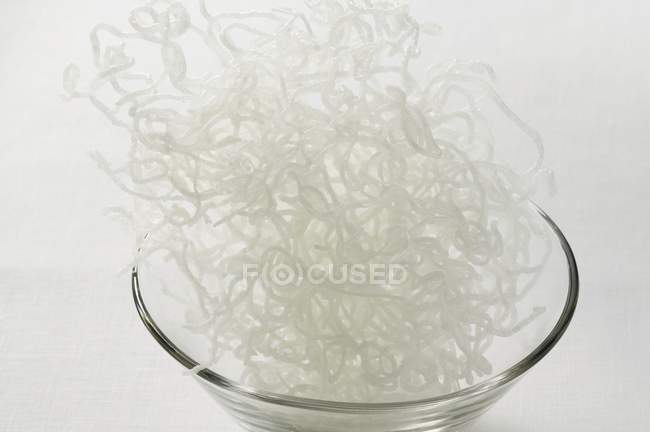 Fideos de vidrio seco - foto de stock