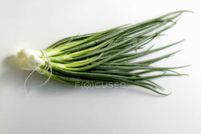 Bunch of Asian spring onions — Stock Photo