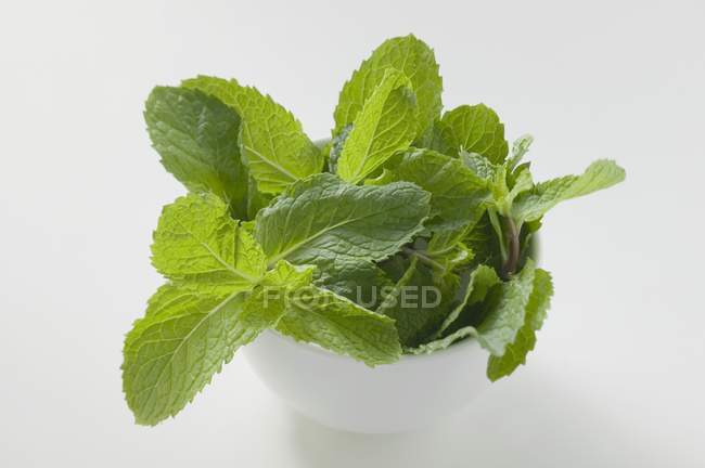 Fresh Green Thai mint — Stock Photo