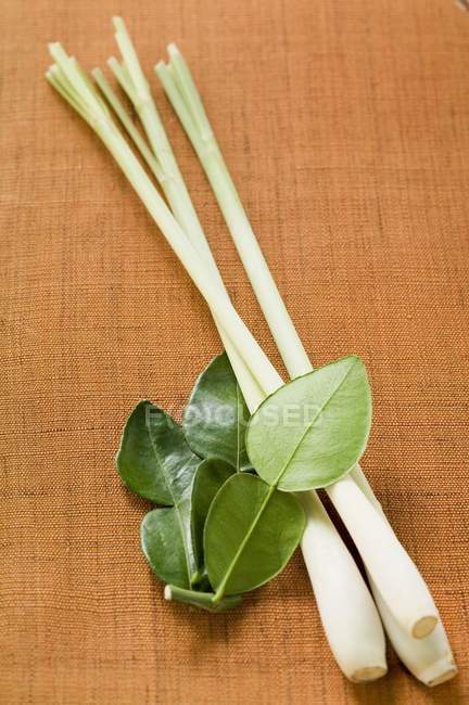 Lemon leaves and lemon grass — Stock Photo