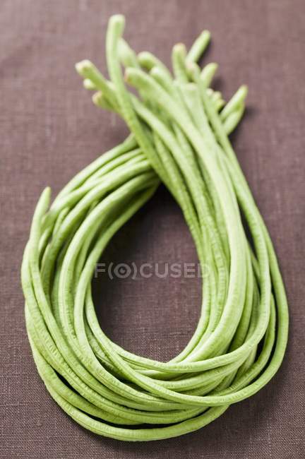 Diversi asparagi — Foto stock