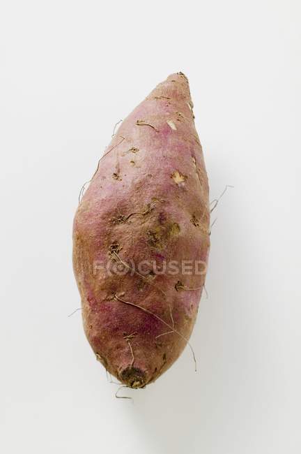 Сырой сладкий картофель — стоковое фото