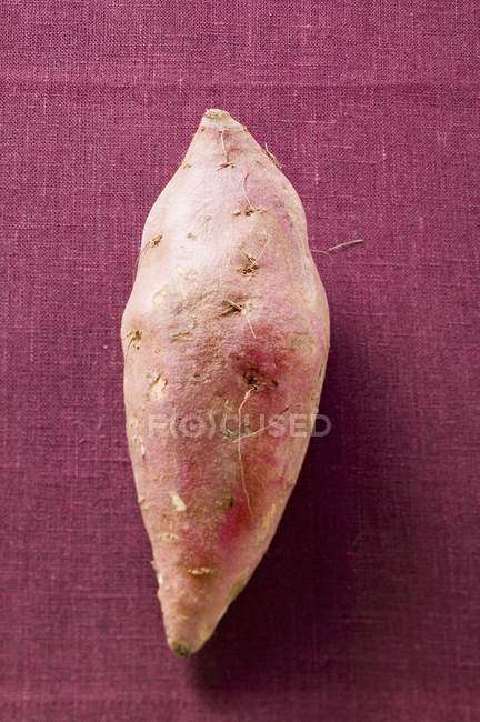 Raw sweet potato — Stock Photo