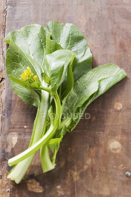 Chinese flowering cabbage — Stock Photo