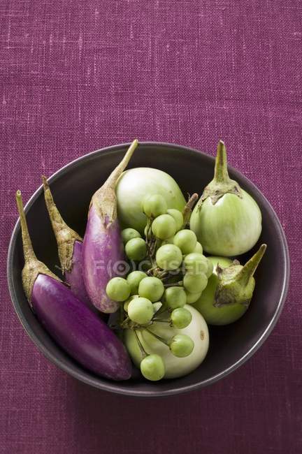 Various types of aubergines — Stock Photo