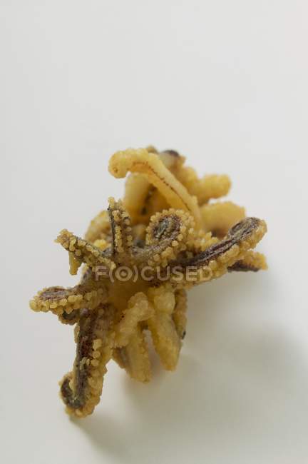 Жареные кальмары и осьминоги — стоковое фото