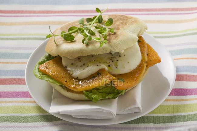 Sandwich de calabaza y mozzarella en placa blanca sobre tela textil de color - foto de stock