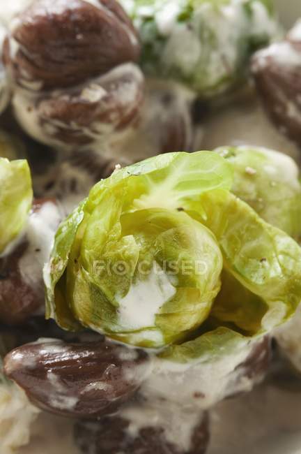 Brussels sprouts with chestnuts — Stock Photo