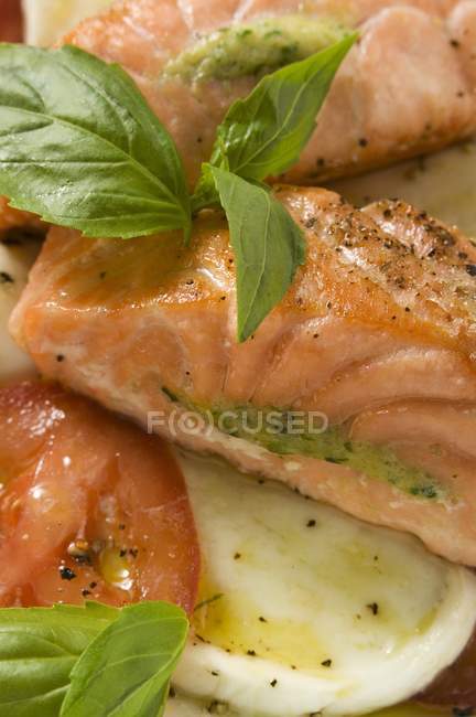 Tomatoes with mozzarella, salmon and basil — Stock Photo