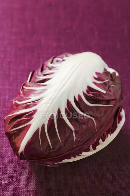 Radicchio on purple background — Stock Photo