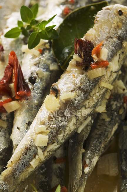 Fried anchovies with dried tomatoes — Stock Photo