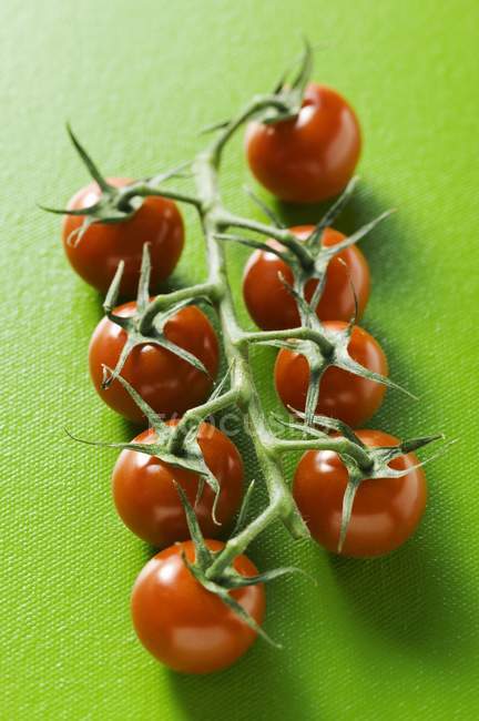 Fresh Cherry tomatoes — Stock Photo