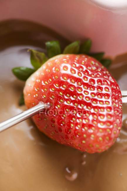 Closeup view of chocolate fondue with strawberry on fondue fork — Stock Photo