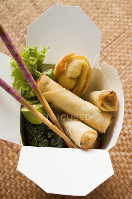 Deep fried wontons and spring rolls — Stock Photo