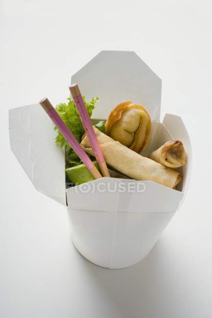 Wontons fritos e rolos de primavera — Fotografia de Stock