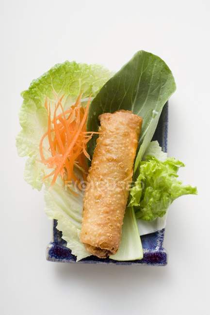 Frühlingsrolle auf Salat — Stockfoto