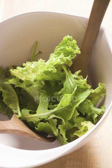 Feuilles de salade mélangées dans un bol — Photo de stock