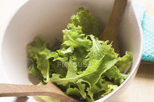 Змішані салат листя — стокове фото