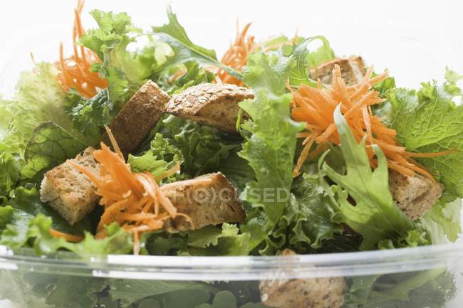 Salatblätter mit Karotten — Stockfoto