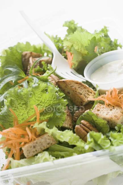 Листя салату з морквою — стокове фото