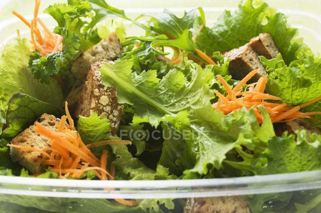 Feuilles de salade aux carottes — Photo de stock