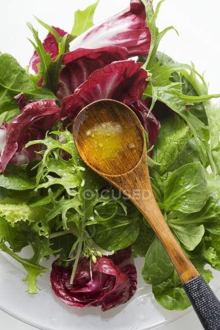 Змішане листя салату. — стокове фото