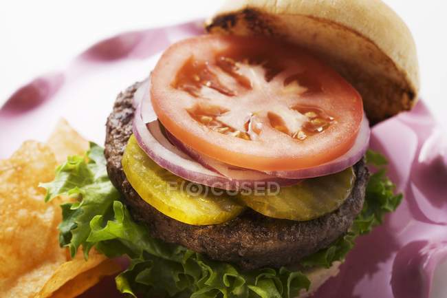 Hausgemachter Hamburger mit Gurken — Stockfoto