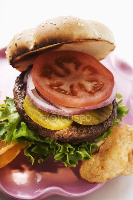 Hausgemachter Hamburger mit Gurken — Stockfoto