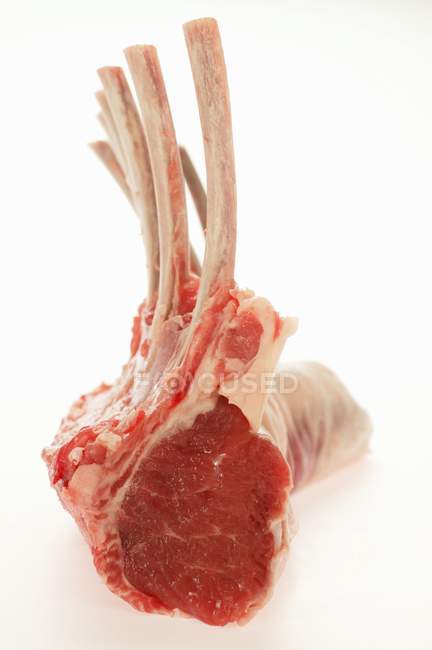 Fresh lamb cutlets — Stock Photo