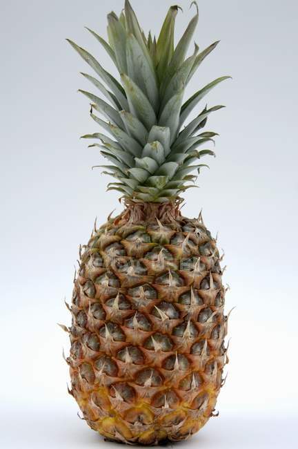 Великий стиглий ананас — стокове фото