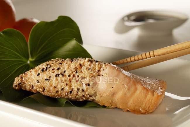 Fried salmon fillet with sesame seeds — Stock Photo
