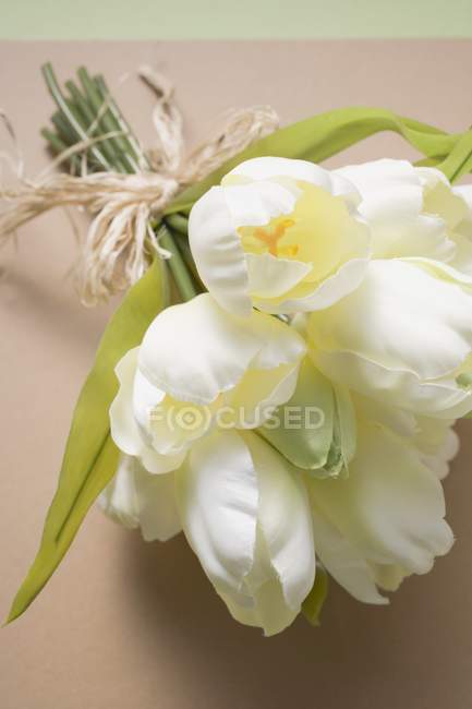 Vista de primer plano de un ramo atado de tulipanes blancos - foto de stock